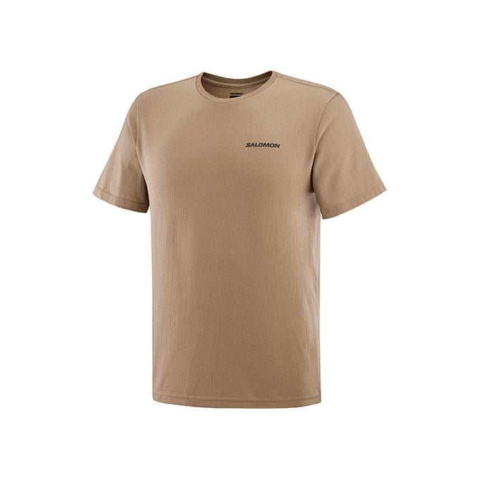 Salomon Graphıc Perf Ss M Erkek Shıtake T-Shirt