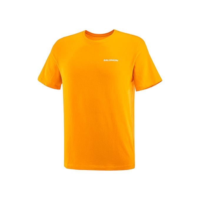 Salomon Graphıc Perf Ss M Erkek Zinnia// T-Shirt