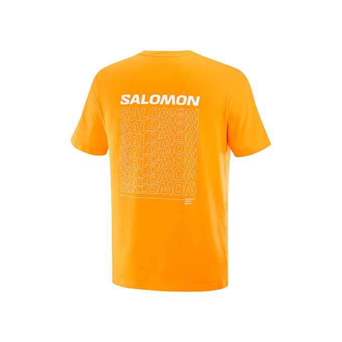Salomon Graphıc Perf Ss M Erkek Zinnia// T-Shirt