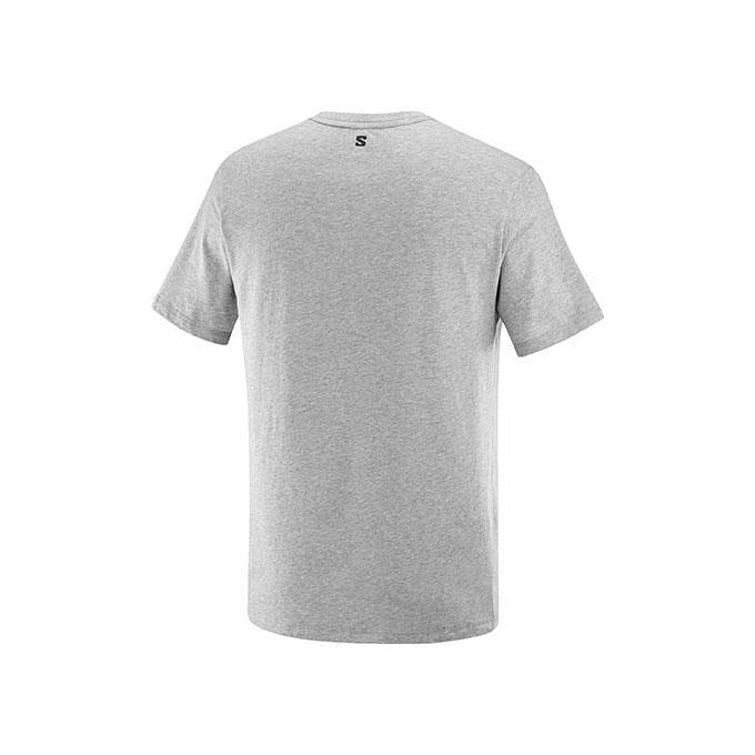 Salomon Graphıc Ss M Erkek Heather Grey T-Shirt
