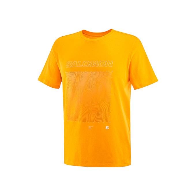 Salomon Graphıc Ss M Erkek Zinnia// T-Shirt
