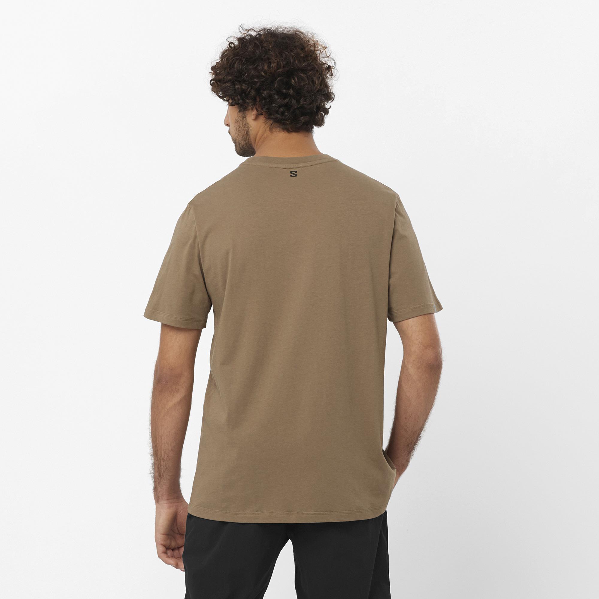 Salomon Running Graphic Erkek T-Shirt - Kahverengi