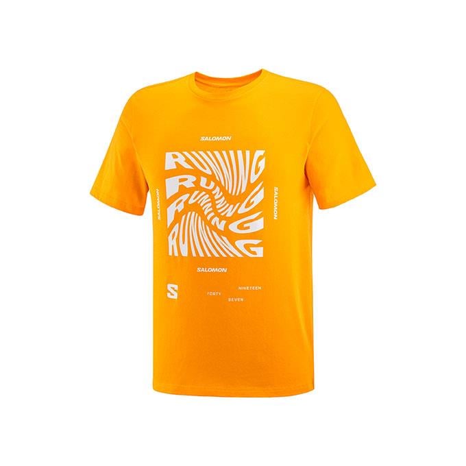 Salomon Runnıng Graphıc Ss M Erkek Zinnia// T-Shirt