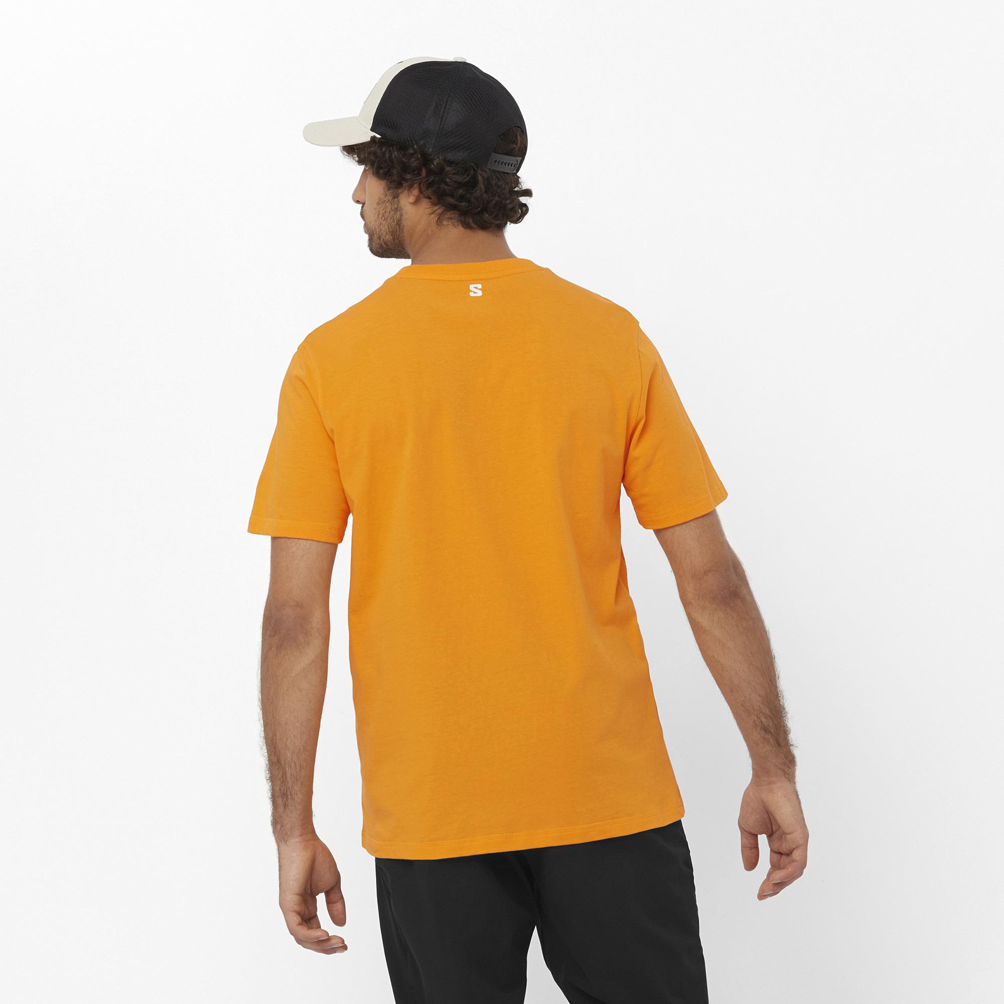Salomon Running Graphic Erkek T-Shirt - Turuncu