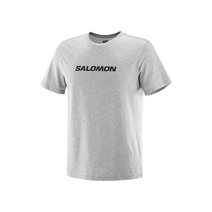 Salomon Sal Logo Perf Ss M Erkek Heather Grey T-Shirt