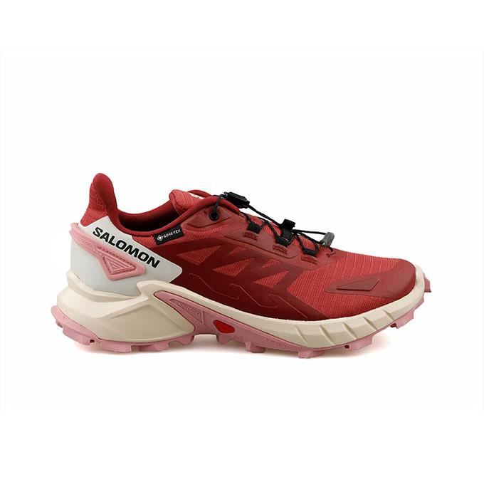 Salomon Supercross 4 Gtx W Kadın Cow Hide/Syrah/Blush Koşu - Yürüyüş Ayakkabısı