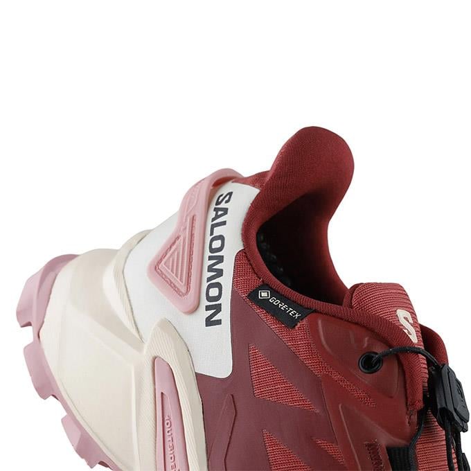 Salomon Supercross 4 Gtx W Kadın Cow Hide/Syrah/Blush Koşu - Yürüyüş Ayakkabısı