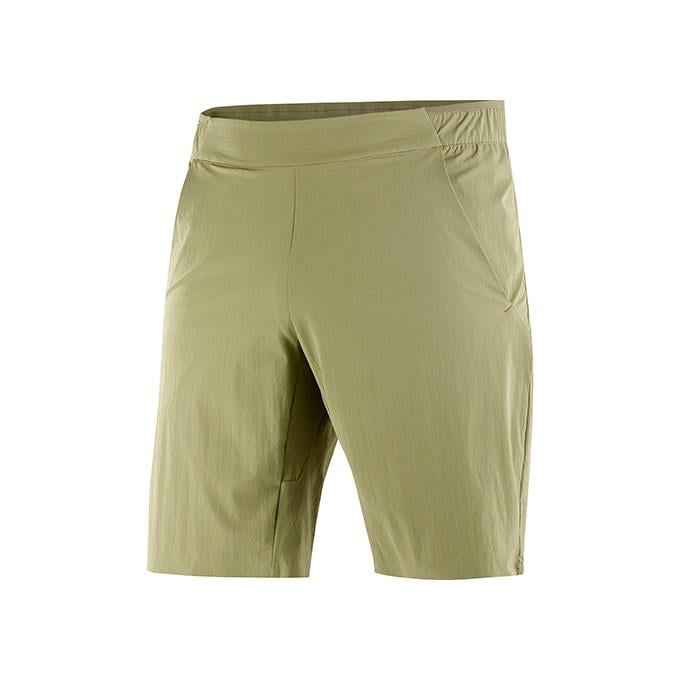 Salomon Wayfarer Ease M Erkek Aloe Şort