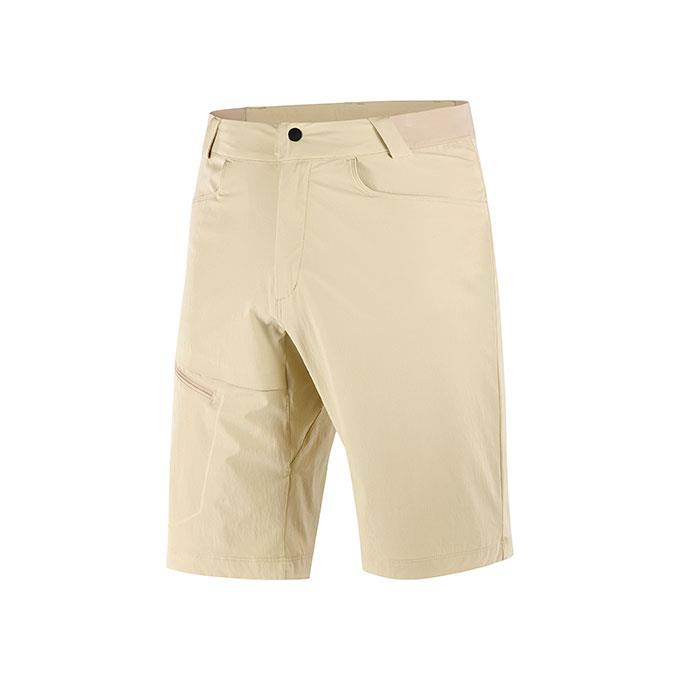 Salomon Wayfarer M Erkek Whıte Pepper// Şort